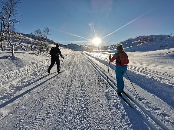 Bilde 1 av 3 i jobbannonse-galleriet