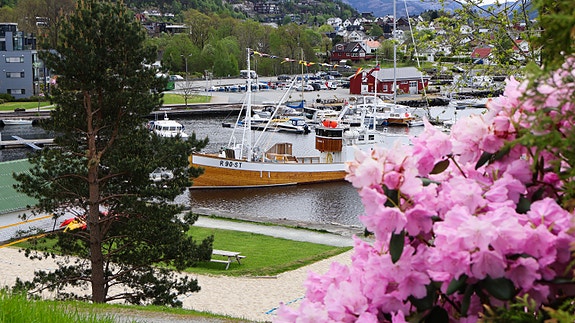 Bilde 2 av 4 i jobbannonse-galleriet