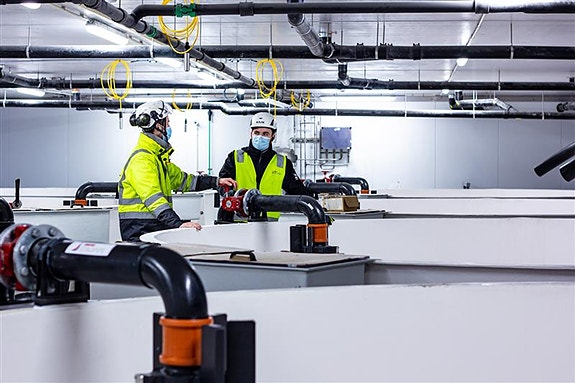 Bilde 4 av 5 i jobbannonse-galleriet