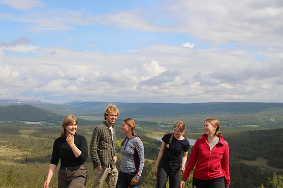 Bilde 1 av 3 i jobbannonse-galleriet