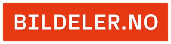 Norsk Bildelsenter AS logo