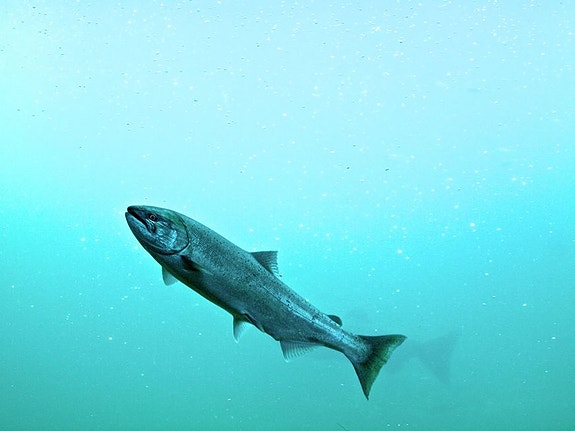 Bilde 4 av 6 i jobbannonse-galleriet