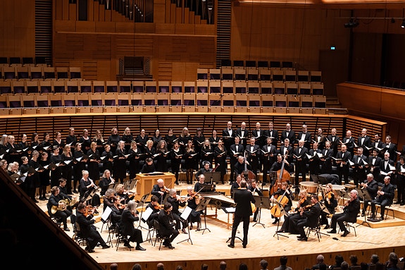 Bilde 9 av 9 i jobbannonse-galleriet