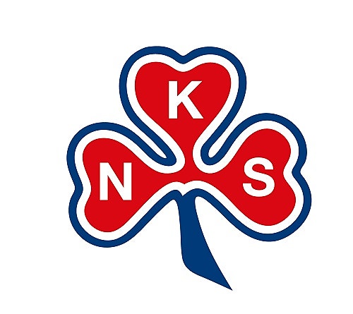 Bilde 1 av 1 i jobbannonse-galleriet