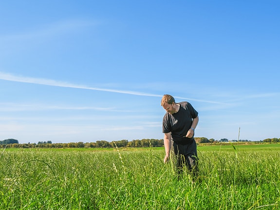 Bilde 1 av 1 i jobbannonse-galleriet