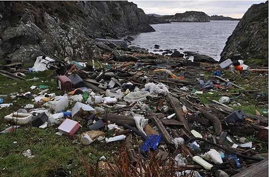 Bilde 5 av 5 i jobbannonse-galleriet