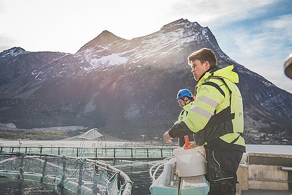 Bilde 4 av 8 i jobbannonse-galleriet