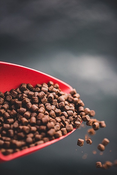 Bilde 3 av 8 i jobbannonse-galleriet