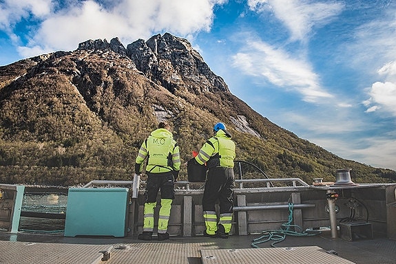 Bilde 7 av 8 i jobbannonse-galleriet