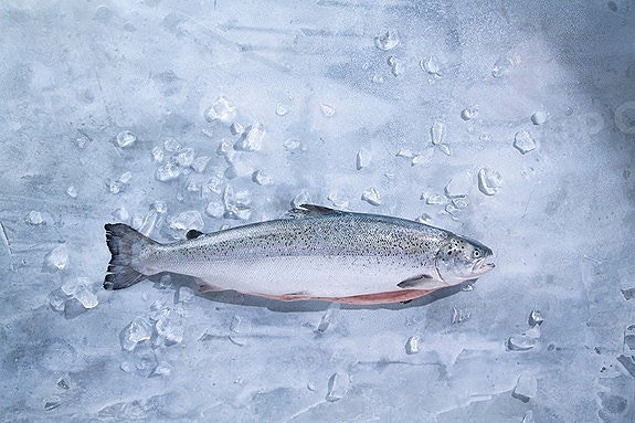 Bilde 8 av 8 i jobbannonse-galleriet