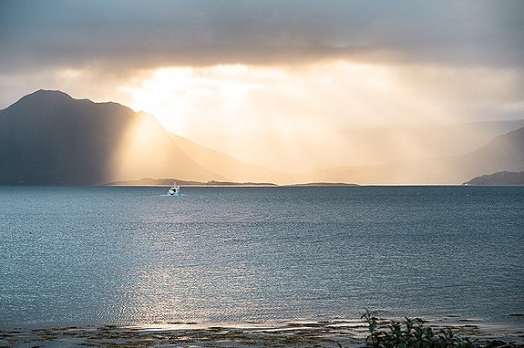 Bilde 2 av 8 i jobbannonse-galleriet