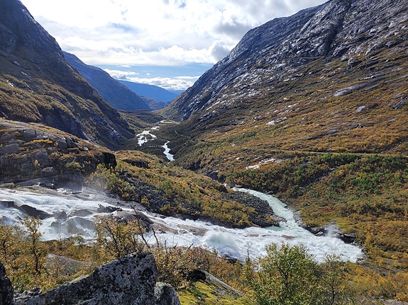 Bilde 1 av 1 i jobbannonse-galleriet
