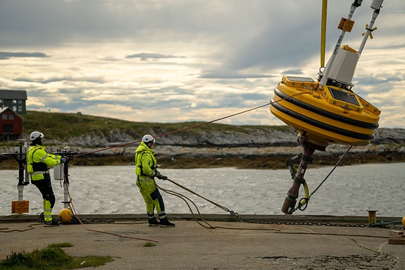 Bilde 1 av 1 i jobbannonse-galleriet