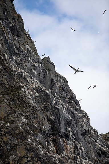 Bilde 7 av 7 i jobbannonse-galleriet