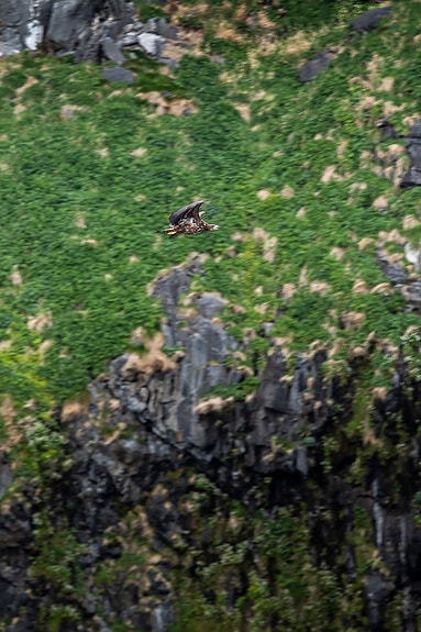 Bilde 6 av 7 i jobbannonse-galleriet