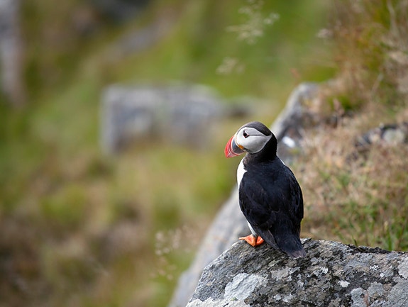 Bilde 4 av 7 i jobbannonse-galleriet