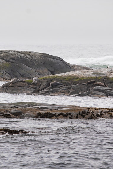 Bilde 5 av 7 i jobbannonse-galleriet