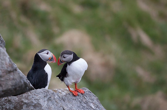 Bilde 3 av 7 i jobbannonse-galleriet