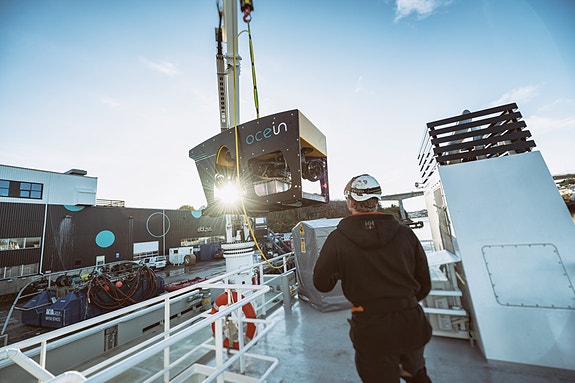 Bilde 1 av 3 i jobbannonse-galleriet