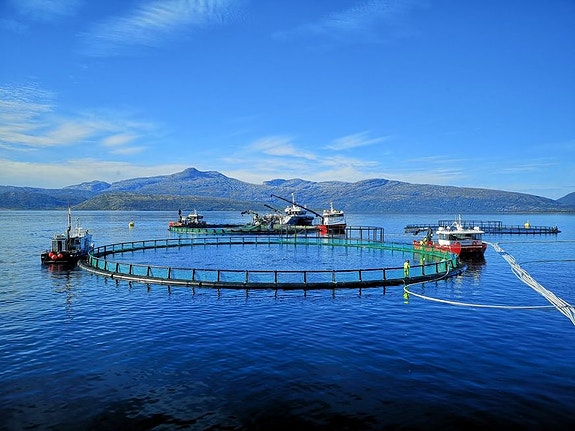 Bilde 3 av 3 i jobbannonse-galleriet