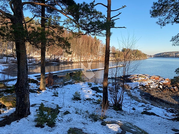 Rossnesodden friområde