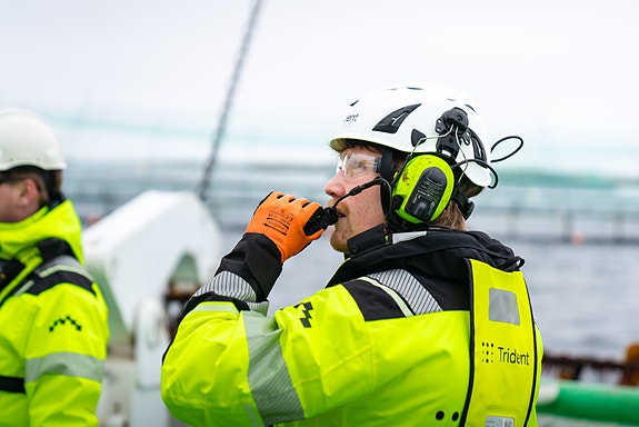 Bilde 1 av 1 i jobbannonse-galleriet