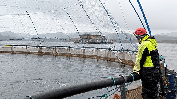 Bilde 1 av 2 i jobbannonse-galleriet