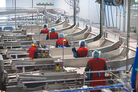 Bilde 3 av 3 i jobbannonse-galleriet