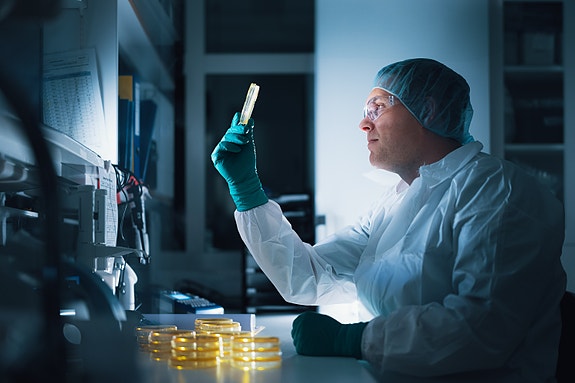 Bilde 2 av 3 i jobbannonse-galleriet