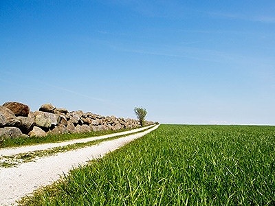 Bilde 1 av 1 i jobbannonse-galleriet