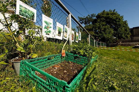 Bilde 2 av 5 i jobbannonse-galleriet