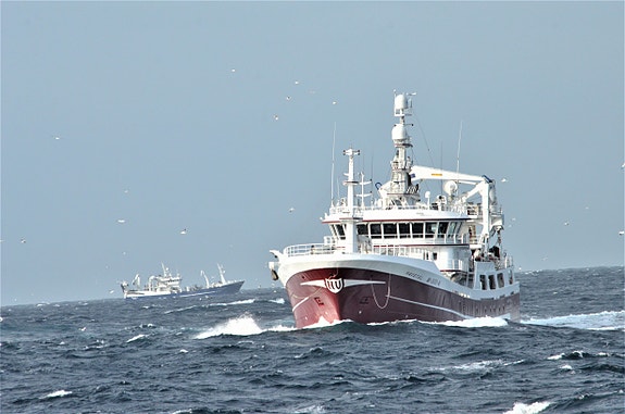 Bilde 1 av 4 i jobbannonse-galleriet