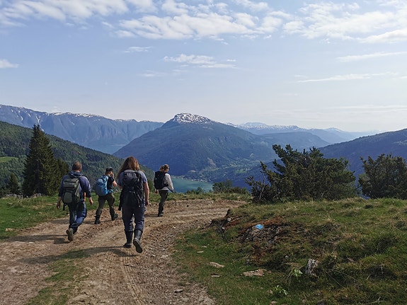 Bilde 3 av 4 i jobbannonse-galleriet