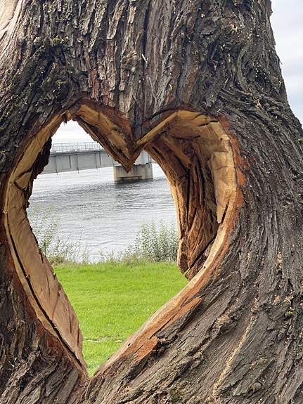 Bilde 3 av 3 i jobbannonse-galleriet