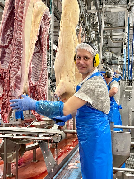 Bilde 2 av 5 i jobbannonse-galleriet