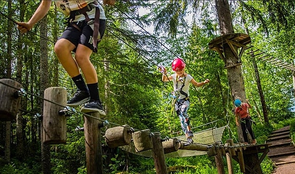 Bilde 3 av 3 i jobbannonse-galleriet