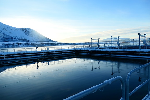 Bilde 1 av 6 i jobbannonse-galleriet