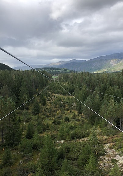 Bilde 5 av 5 i jobbannonse-galleriet