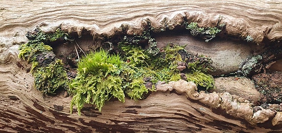 Bilde 1 av 1 i jobbannonse-galleriet