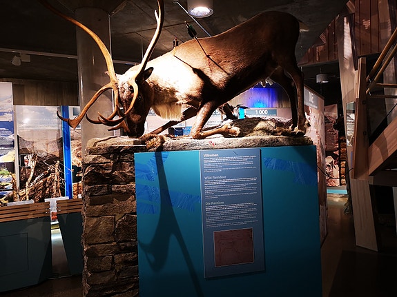 Bilde 5 av 10 i jobbannonse-galleriet