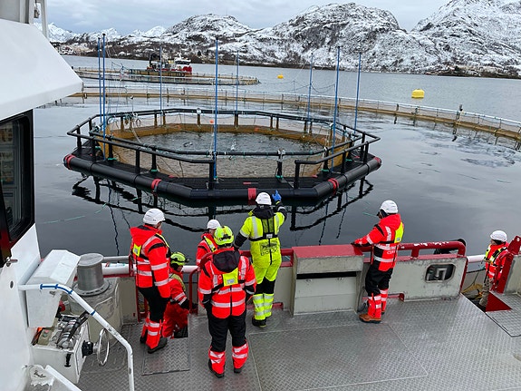 Bilde 7 av 10 i jobbannonse-galleriet