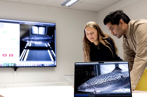 Bilde 3 av 10 i jobbannonse-galleriet