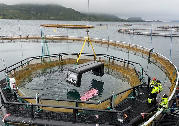 Bilde 8 av 10 i jobbannonse-galleriet