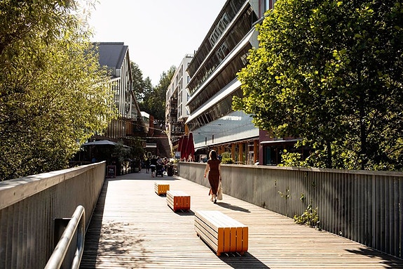 Bilde 1 av 6 i jobbannonse-galleriet