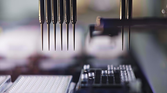 Bilde 5 av 5 i jobbannonse-galleriet