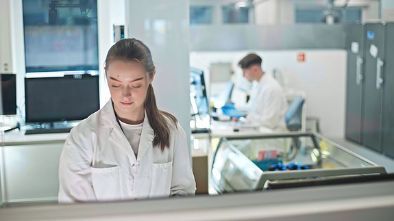 Bilde 3 av 5 i jobbannonse-galleriet