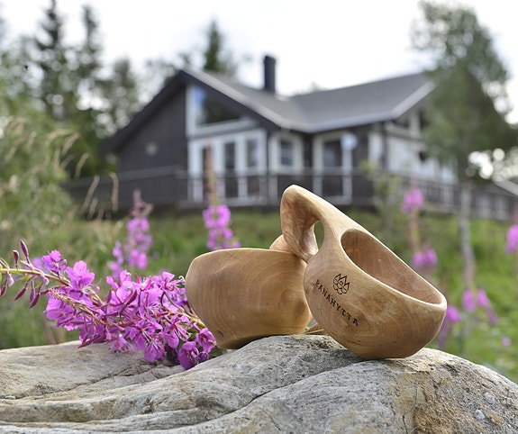 Bilde 10 av 10 i jobbannonse-galleriet