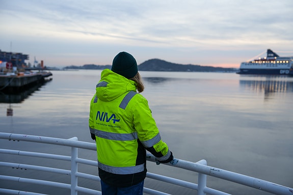 Bilde 2 av 6 i jobbannonse-galleriet