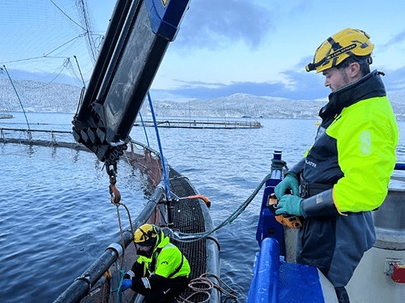 Bilde 1 av 1 i jobbannonse-galleriet