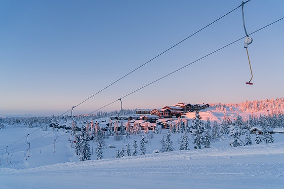 Bilde 1 av 6 i jobbannonse-galleriet